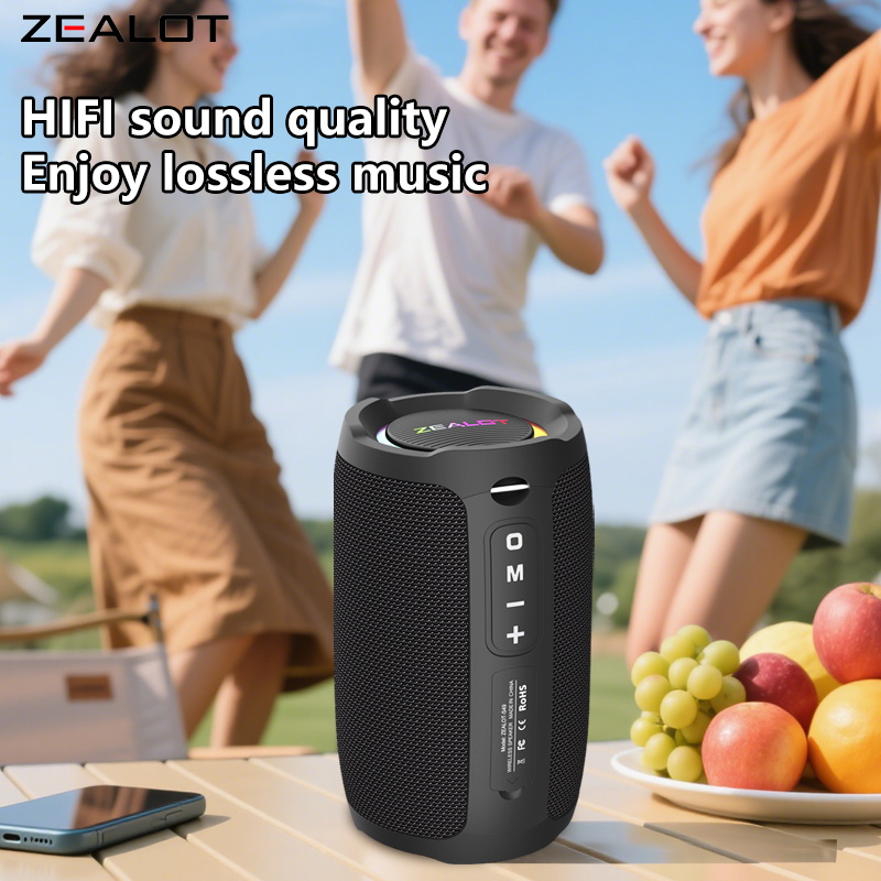 ZEALOT-S49 Tragbarer Bluetooth – Jbl Speaker Flip 6 Bewertung und Preis